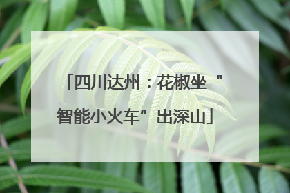 四川达州：花椒坐“智能小火车”出深山