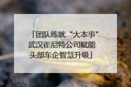 团队练就“大本事” 武汉霍尼特公司赋能头部车企智慧升级