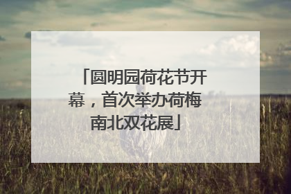 圆明园荷花节开幕，首次举办荷梅南北双花展