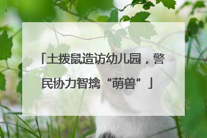 土拨鼠造访幼儿园，警民协力智擒“萌兽”