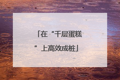 在“千层蛋糕”上高效成桩