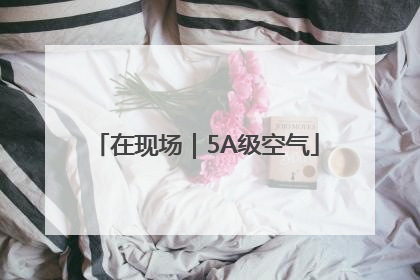 在现场｜5A级空气