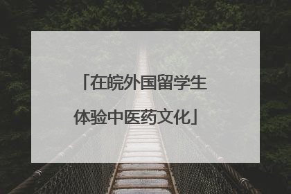在皖外国留学生体验中医药文化