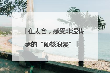 在太仓，感受非遗传承的“硬核浪漫”