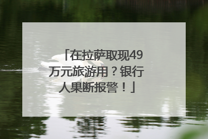 在拉萨取现49万元旅游用？银行人果断报警！