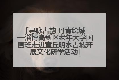 寻脉古韵 丹青绘城——淄博高新区老年大学国画班走进章丘明水古城开展文化研学活动