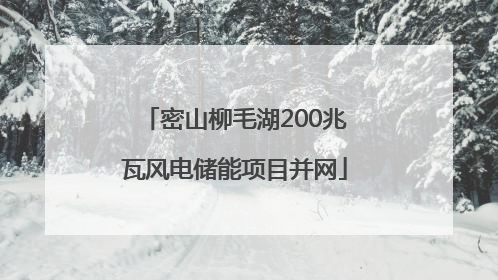密山柳毛湖200兆瓦风电储能项目并网