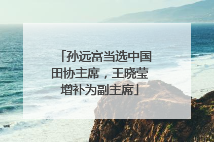 孙远富当选中国田协主席，王晓莹增补为副主席