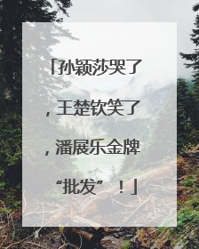 孙颖莎哭了，王楚钦笑了，潘展乐金牌“批发”！