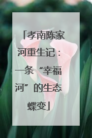 孝南陈家河重生记：一条“幸福河”的生态蝶变
