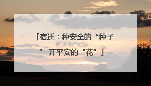宿迁：种安全的“种子” 开平安的“花”