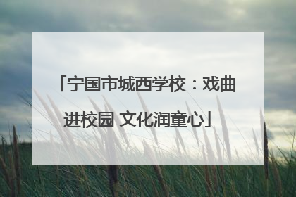 宁国市城西学校：戏曲进校园 文化润童心