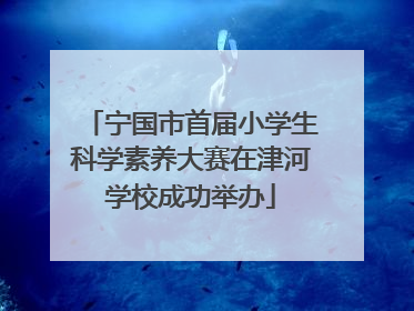 宁国市首届小学生科学素养大赛在津河学校成功举办