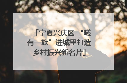宁夏兴庆区 “曦有一族”进城里打造乡村振兴新名片