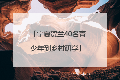 宁夏贺兰40名青少年到乡村研学