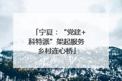 宁夏：“党建+科特派”架起服务乡村连心桥
