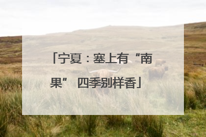 宁夏：塞上有“南果” 四季别样香