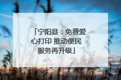 宁阳县：免费爱心打印 推动便民服务再升级