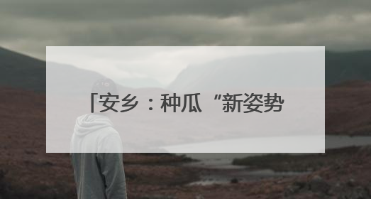 安乡：种瓜“新姿势” 吊藤结出致富果
