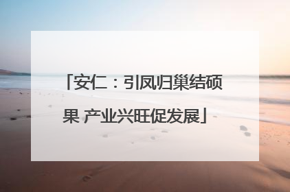 安仁：引凤归巢结硕果 产业兴旺促发展