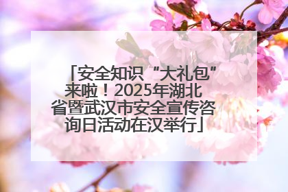 安全知识“大礼包”来啦！2025年湖北省暨武汉市安全宣传咨询日活动在汉举行