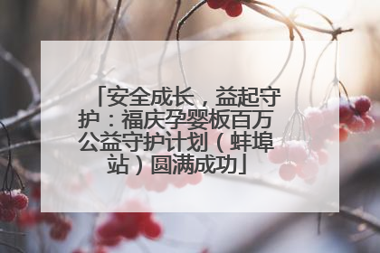 安全成长，益起守护：福庆孕婴板百万公益守护计划（蚌埠站）圆满成功