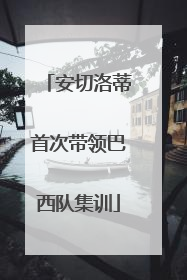 安切洛蒂首次带领巴西队集训