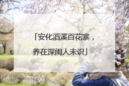 安化滔溪百花寨，养在深闺人未识