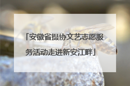 安徽省摄协文艺志愿服务活动走进新安江畔