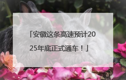 安徽这条高速预计2025年底正式通车！