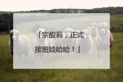 宗馥莉，正式接班娃哈哈！