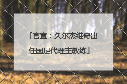 官宣：久尔杰维奇出任国足代理主教练