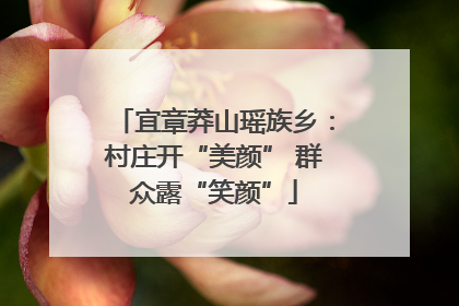 宜章莽山瑶族乡：村庄开“美颜” 群众露“笑颜”