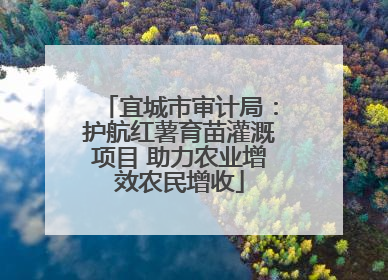 宜城市审计局：护航红薯育苗灌溉项目 助力农业增效农民增收