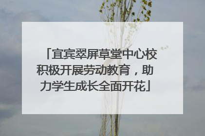 宜宾翠屏草堂中心校积极开展劳动教育，助力学生成长全面开花
