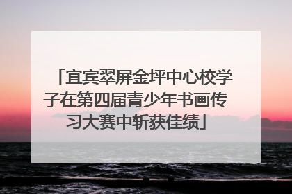 宜宾翠屏金坪中心校学子在第四届青少年书画传习大赛中斩获佳绩