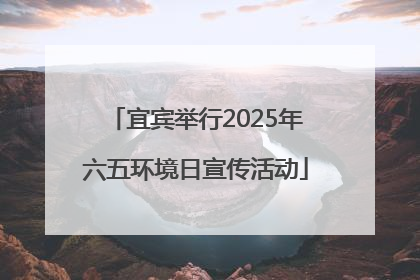宜宾举行2025年六五环境日宣传活动