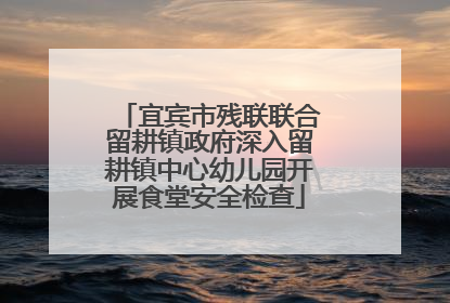 宜宾市残联联合留耕镇政府深入留耕镇中心幼儿园开展食堂安全检查