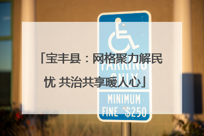 宝丰县：网格聚力解民忧 共治共享暖人心