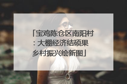 宝鸡陈仓区南阳村：大棚经济结硕果 乡村振兴绘新图
