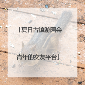 夏日古镇游园会 青年的交友平台