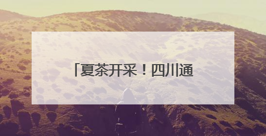 夏茶开采！四川通江5000余亩欧标茶园迎来采摘季