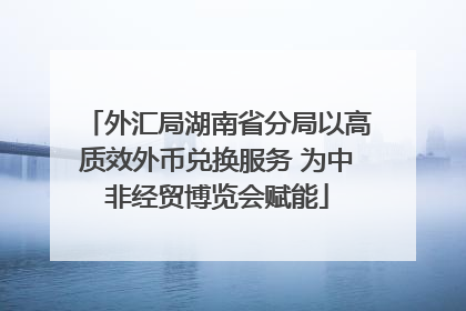外汇局湖南省分局以高质效外币兑换服务 为中非经贸博览会赋能