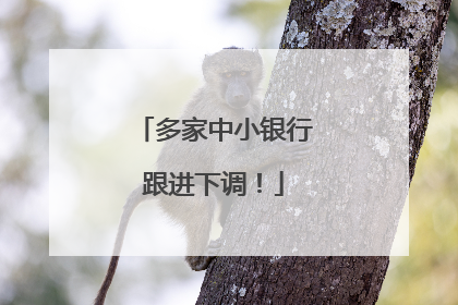 多家中小银行跟进下调！