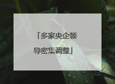 多家央企领导密集调整