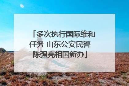 多次执行国际维和任务 山东公安民警陈强亮相国新办