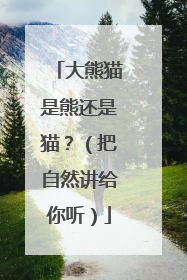 大熊猫是熊还是猫？（把自然讲给你听）