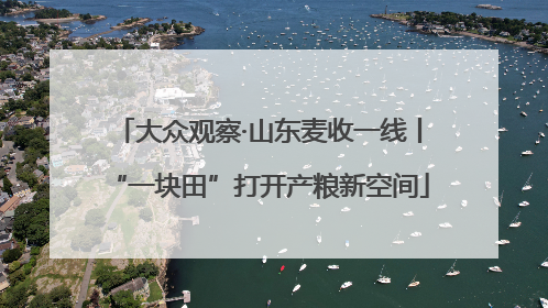 大众观察·山东麦收一线丨“一块田”打开产粮新空间