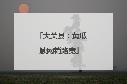 大关县：黄瓜触网销路宽