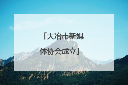 大冶市新媒体协会成立